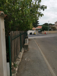 Photo de galerie - Taille de haies et d'arbustes