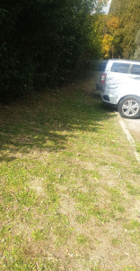 Photo de galerie - Débroussaillage 

