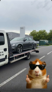 Photo de galerie - AUDI