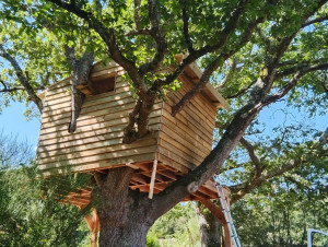 Photo de galerie - Réalisation d'une cabane pour enfant dans un arbre avec plateforme de 20m2