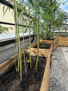 Photo de galerie - Paysagiste - Aménagement du jardin