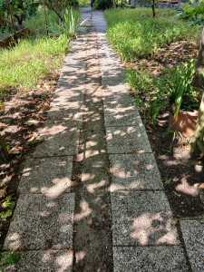 Photo de galerie - Nettoyage d une allée et désherbage aussi 