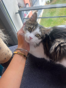 Photo de galerie - Vidocq