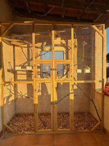 Photo de galerie - Fabrication d’une volière pour perruche 
