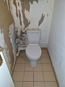 Photo de galerie - Remplacement toilette après 