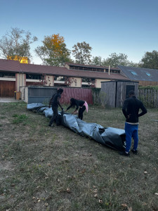 Photo de galerie - Entretien piscine