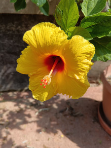 Photo de galerie - Photo prise parc de la tête d'or 