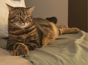 Photo de galerie - Petite pose pour montrer comme je suis beau ? 