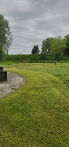 Photo de galerie - Tonte de pelouse - Débroussaillage