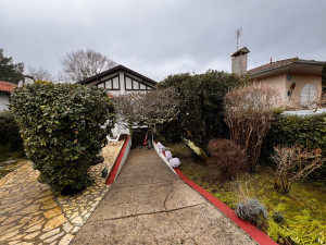 Photo de galerie - Taille de haies et d'arbustes