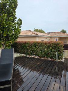 Photo de galerie - Taille de haies et d'arbustes