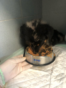 Photo de galerie - Soins 