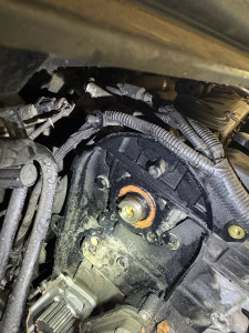 Photo de galerie - Distribution avec changement joint spy 