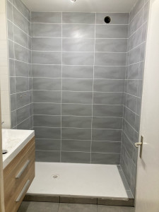Photo de galerie - Transformation d’une salle de bain en salle de douche 