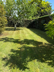 Photo de galerie - Tonte de pelouse