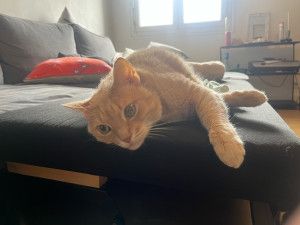 Photo de galerie - ?