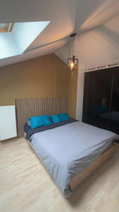 Photo de galerie - Peinture mur et plafond + fixation décoration plinthes murales