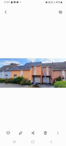 Photo de galerie - Peinture - Tapisserie