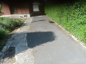 Photo de galerie - Donner tondeuse et nettoyer