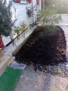 Photo de galerie - Préparation d'un parterre, plantation d'un laurier fleur en cours de modification.