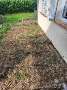 Photo de galerie - Enlèvement d une vieille terrasse en bois + evacuation 
