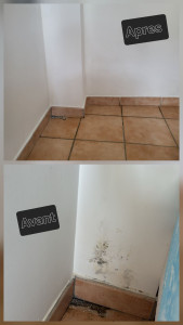 Photo de galerie - Traitement du mur + peinture
