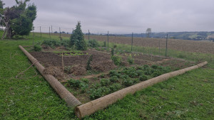 Photo de galerie - Potager
