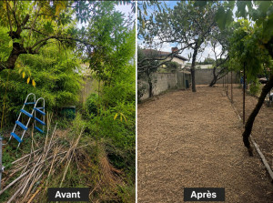 Photo de galerie - Remise à niveau de terrain enlèvement de bambou avec extraction des rhizome à l’aide d’une pelleteuse