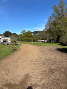 Photo de galerie - Paysagiste - Aménagement du jardin