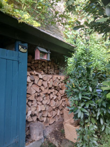 Photo de galerie - Rangement en cours du bois