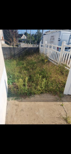 Photo de galerie - Tonte de pelouse - Débroussaillage