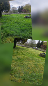 Photo de galerie - Tonte + débroussaillage sortie d'hiver