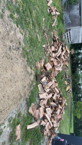 Photo de galerie - Fendage bois 