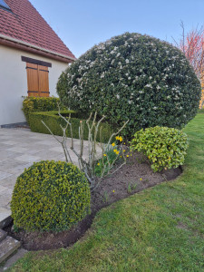 Photo de galerie - Paysagiste - Aménagement du jardin