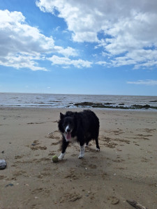 Photo de galerie - Pego à la plage