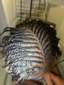 Photo de galerie - Tresse cheveux naturels 