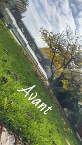 Photo de galerie - A tondre !!!