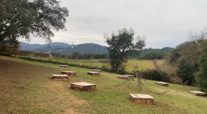 Photo de galerie - Entretien d’espace vert