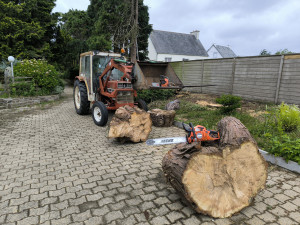 Photo de galerie - Tronçonnage de souches 