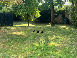 Photo de galerie - Tonte