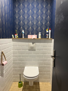 Photo de galerie - Renovation wc : carrelage, faience, papier peint, wc suspendu