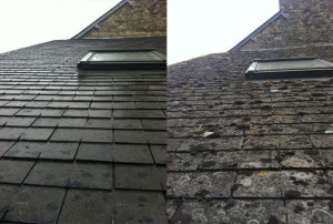 Photo de galerie - Couverture - Toiture