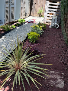 Photo de galerie - Création de plantations de plantes en création allée en cailloux 