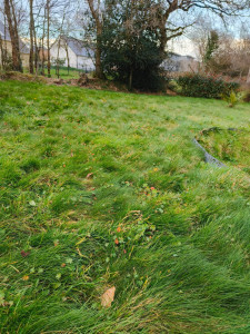 Photo de galerie - Tonte de pelouse - Débroussaillage