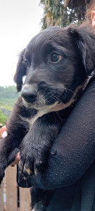 Photo de galerie - Trop calin