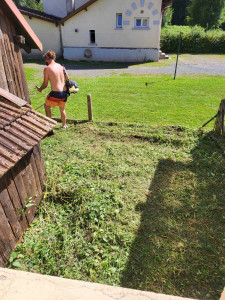 Photo de galerie - Debrousaillage 