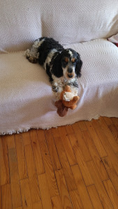 Photo de galerie - Petit choux ?