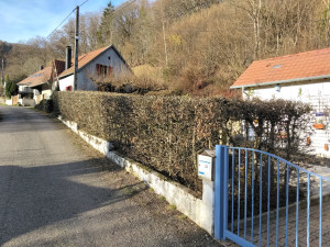 Photo de galerie - Taille de haies et d'arbustes