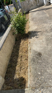 Photo de galerie - Après la coupe 