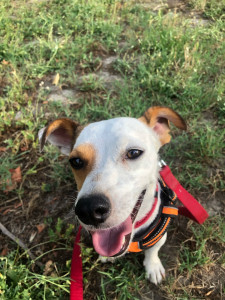 Photo de galerie - Vacancier heureux ! 